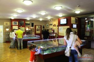 Muzeum Ziemi Międzyrzeckiej