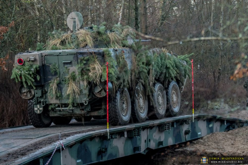 Międzyrzecz: Ćwiczenie taktyczne z wojskami pk. Borsuk-17  (przemieszczenie)
