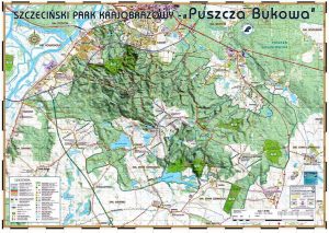 Puszcza Bukowa - mapa