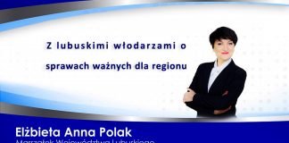 przebudowy i rozbudowy drogi nr 137 Słubice – Sulęcin – Międzyrzecz