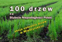 100 drzew na Stulecie Niepodległości Polski,