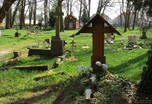 Wiosenne akcenty na cmentarzu katolickim