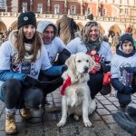 WOŚP przygotowała specjalną aplikację oraz bazę wydarzeń 27. Finału