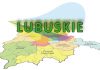 Marszałek dla Forbes: Lubuskie to Stany Zjednoczone Polski