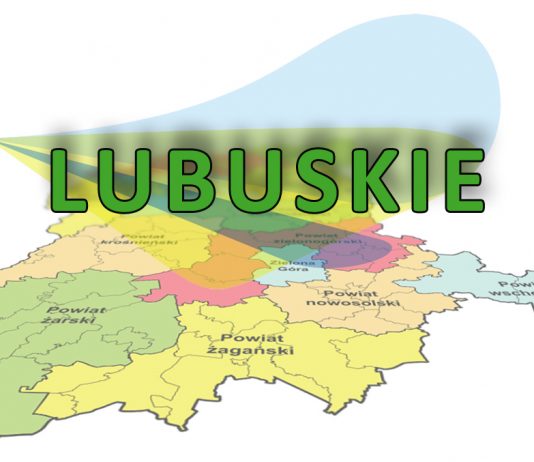 Marszałek dla Forbes: Lubuskie to Stany Zjednoczone Polski