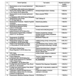 Lubuskie-Obywatelskie-Inicjatywy-Młodzieżowe-2020–wykaz-1