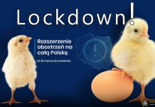 ogólnopolski lockdown 000