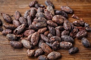 cacao bean
