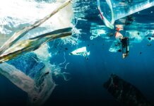 mikroplastik w oceanach 000