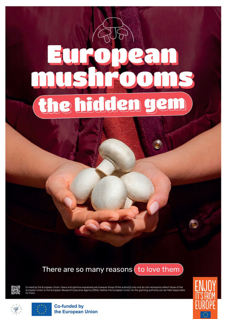 europejskie pieczarki plakat 1
