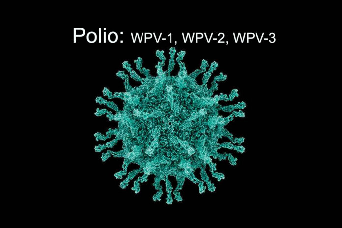 polio 000