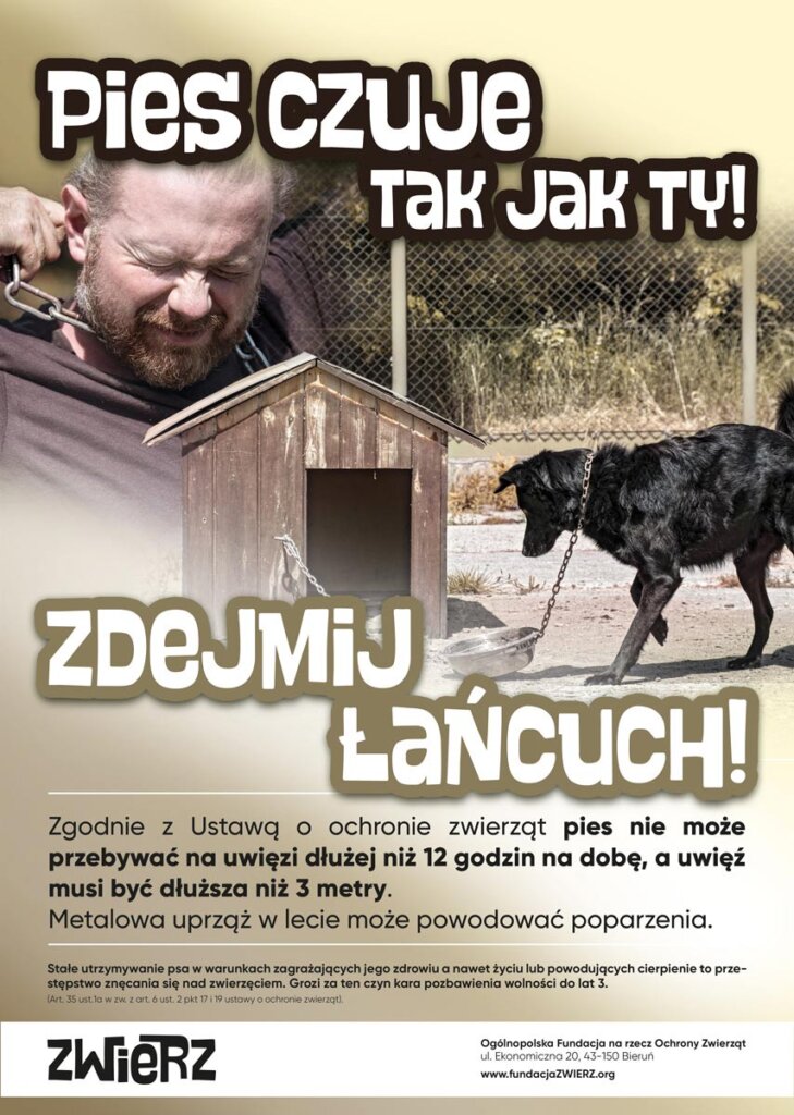 zwierz akcja lato plakat